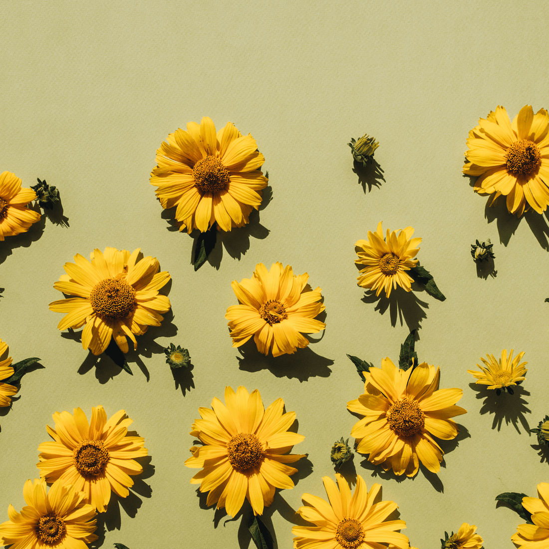 Green Beauty vs Conventional