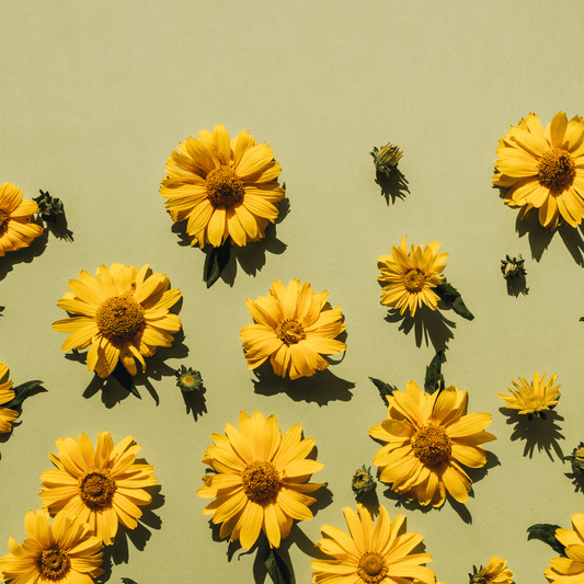 Green Beauty vs Conventional