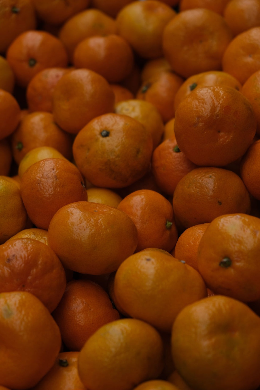 tetrahexyldecyl ascorbate vitamin c