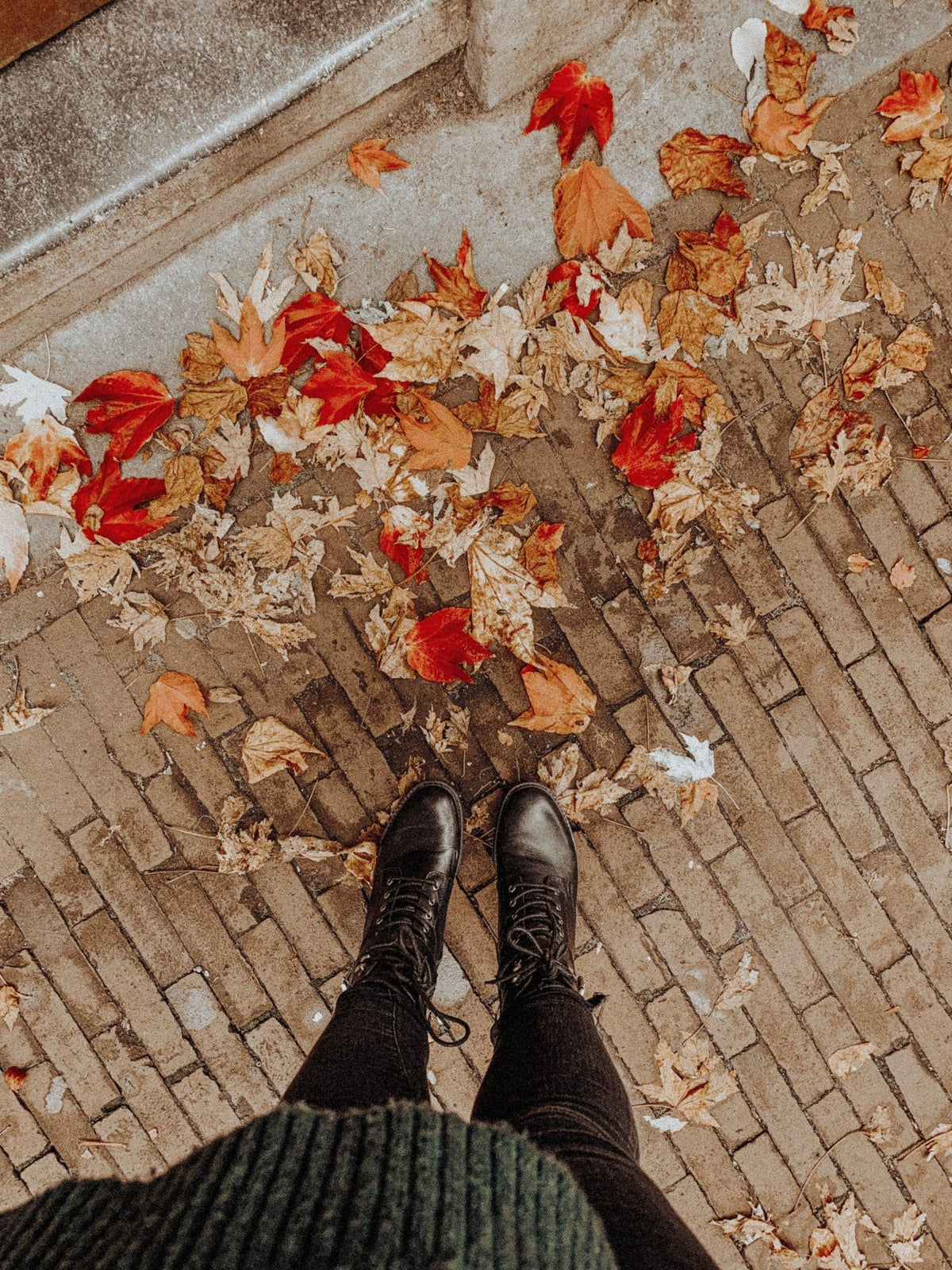 Autumn & Winter Skincare for Dry Skin