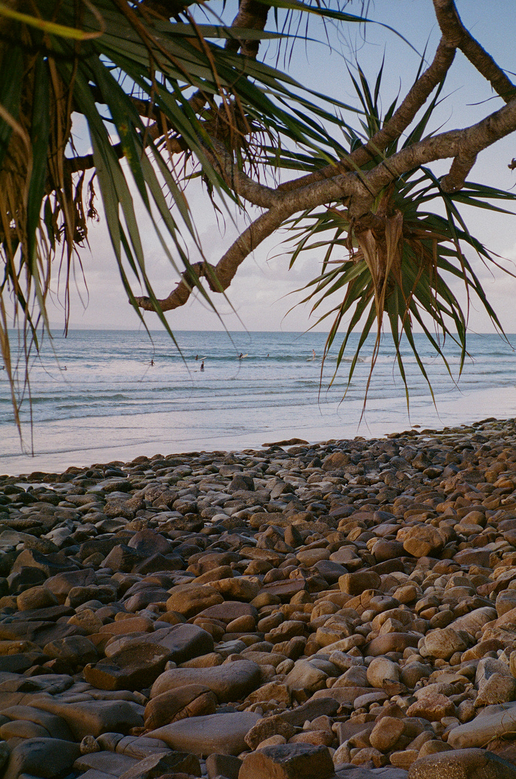 Natural Skincare for oily and acne prone skin.