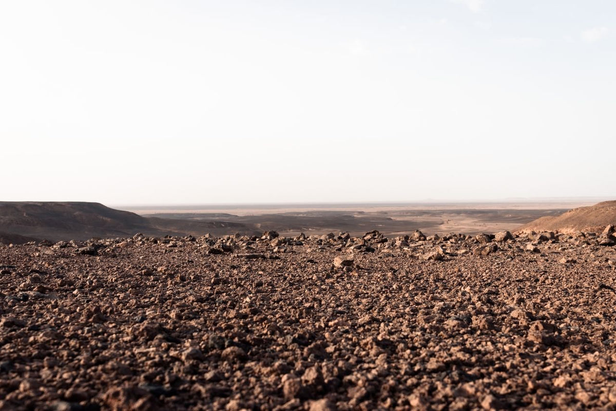 Skincare for Dry, Windy & High-Altitude Climates