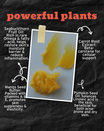 AURORA Multi-Purpose Cleansing Balm